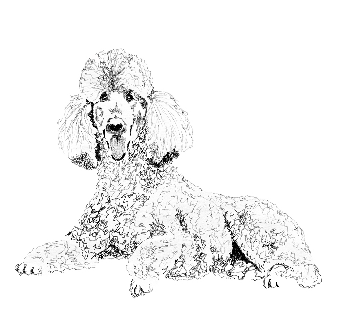 Poodle