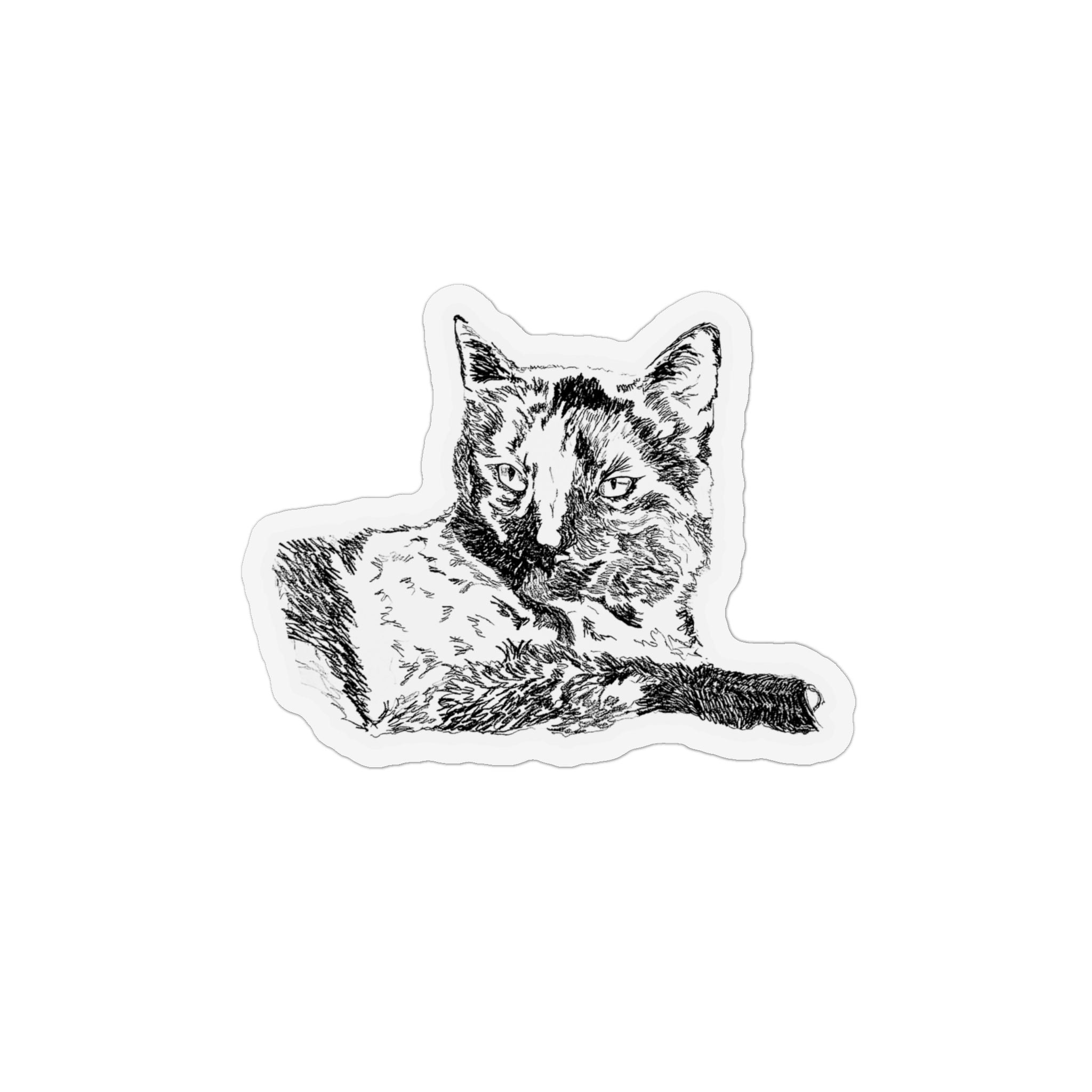 Karma the Cat Magnet