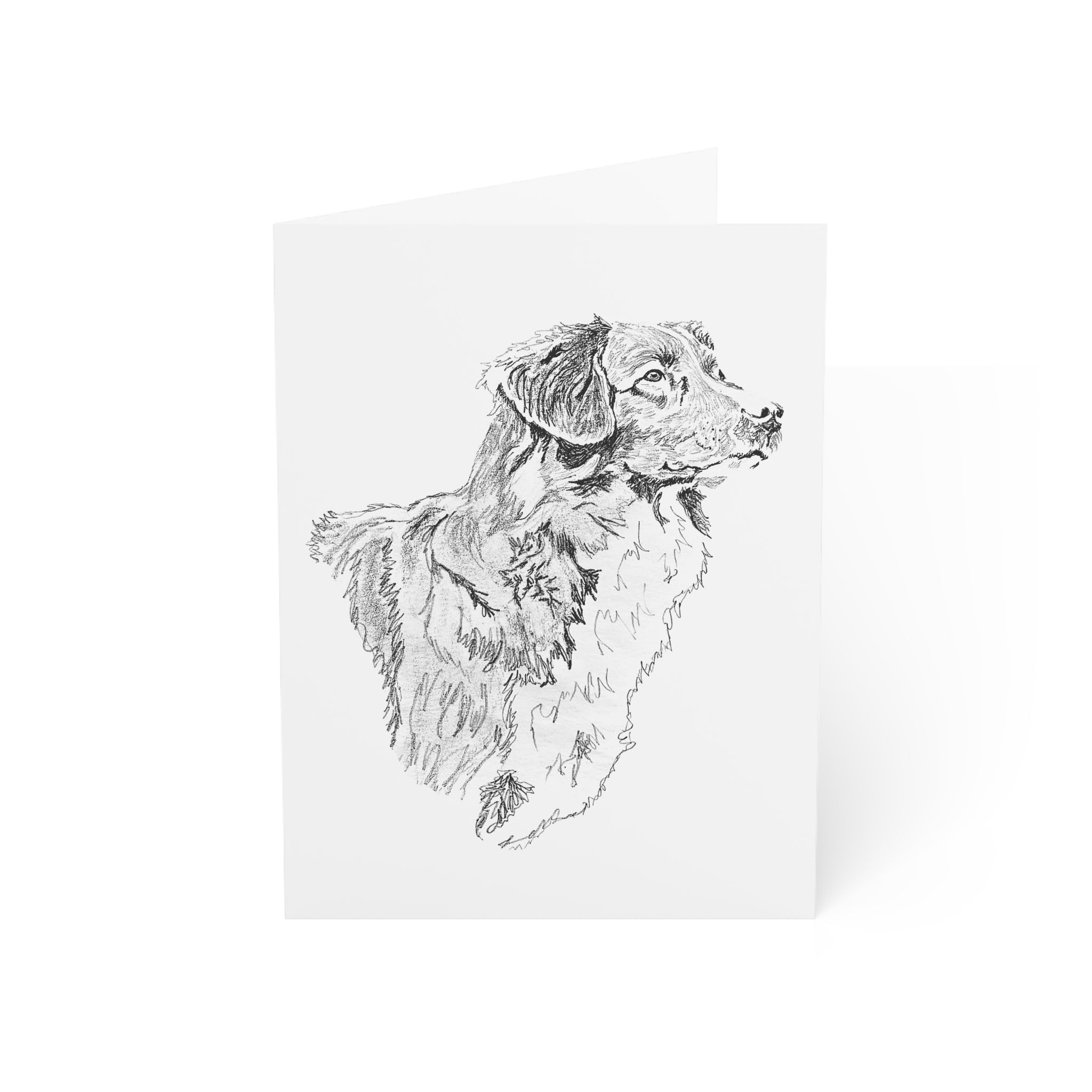 Duck Tolling Retriever profile Greeting Cards