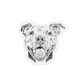 Pit Bull Magnet