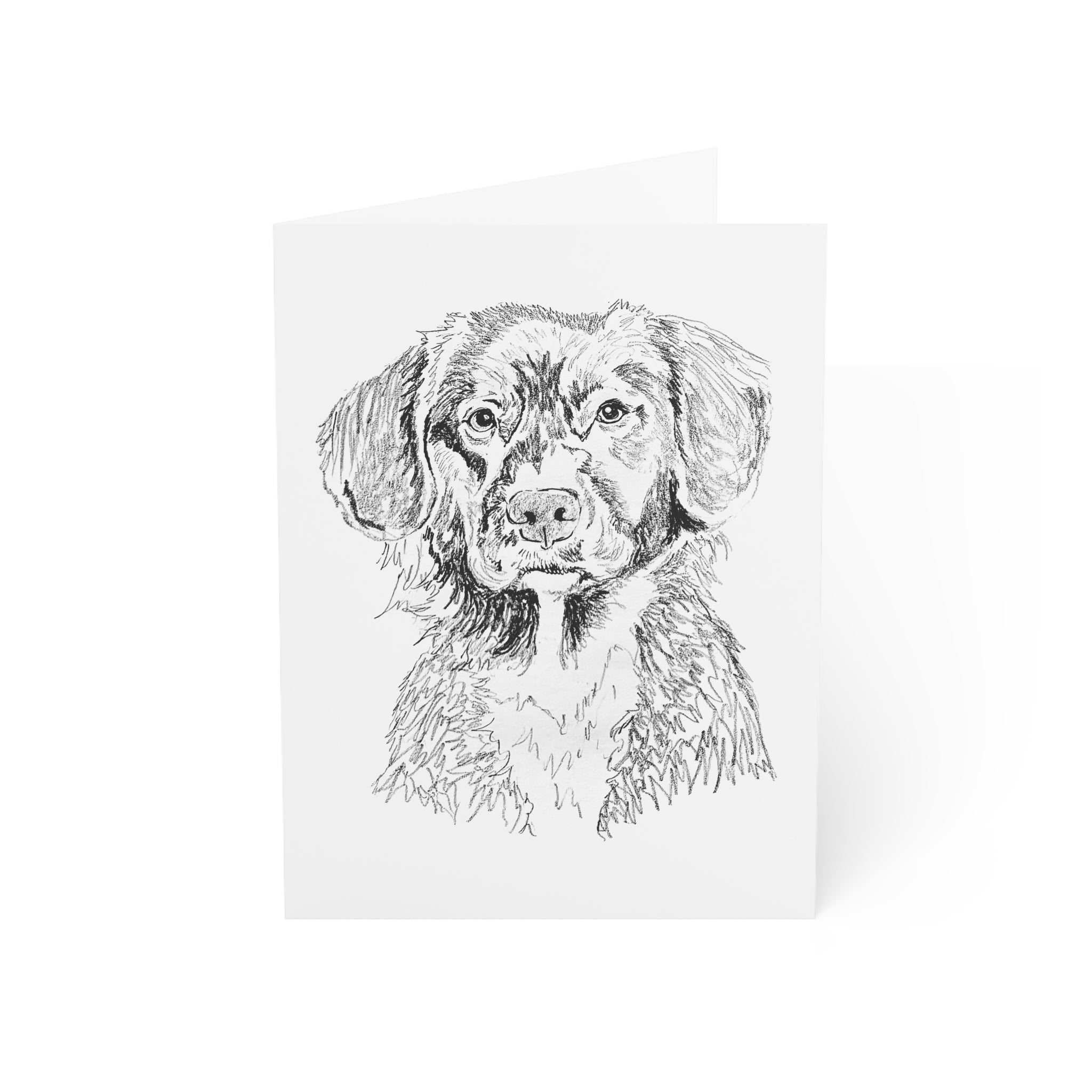 Duck Tolling Retriever Puppy Greeting Cards