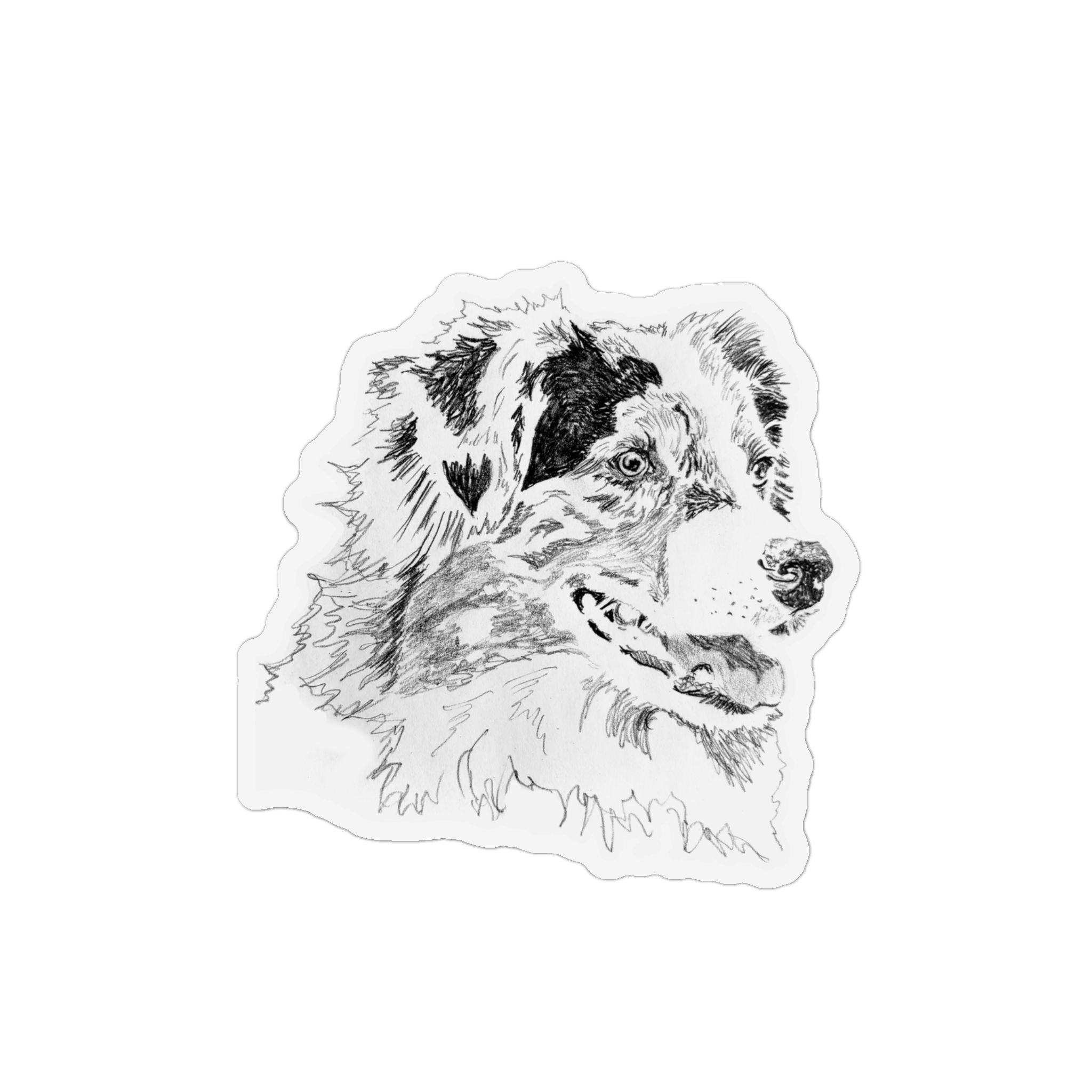 Australian Shepherd Magnet