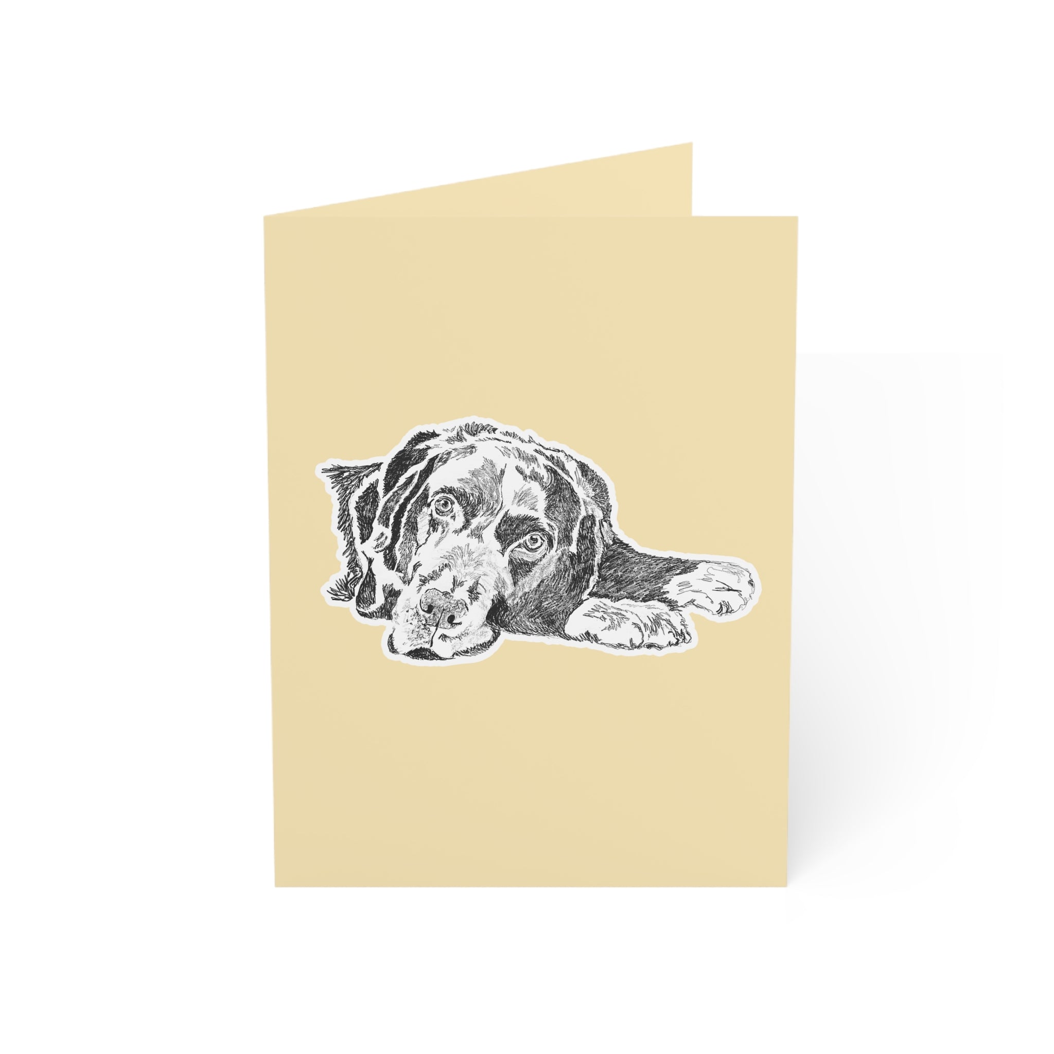 Chocolate Lab Greeting Cards