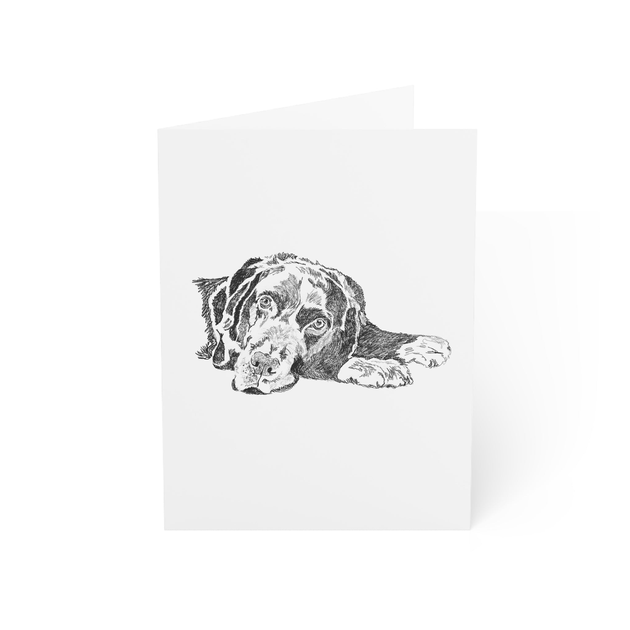 Chocolate Lab Greeting Cards