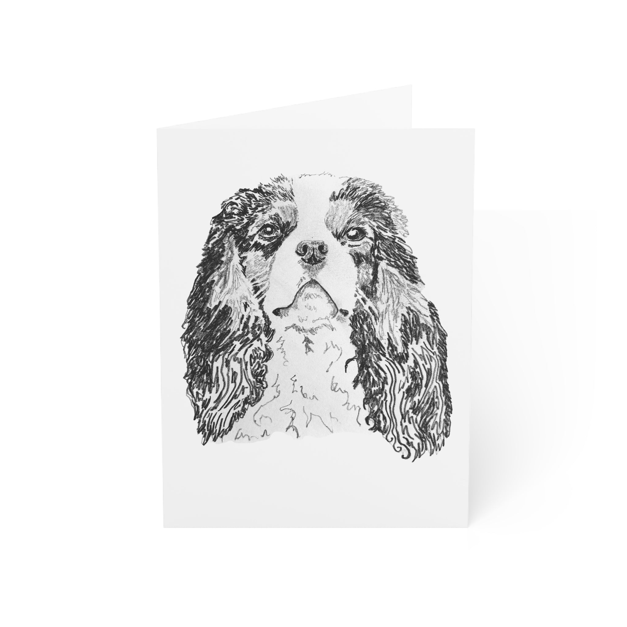 Cavalier Spaniel Greeting Cards