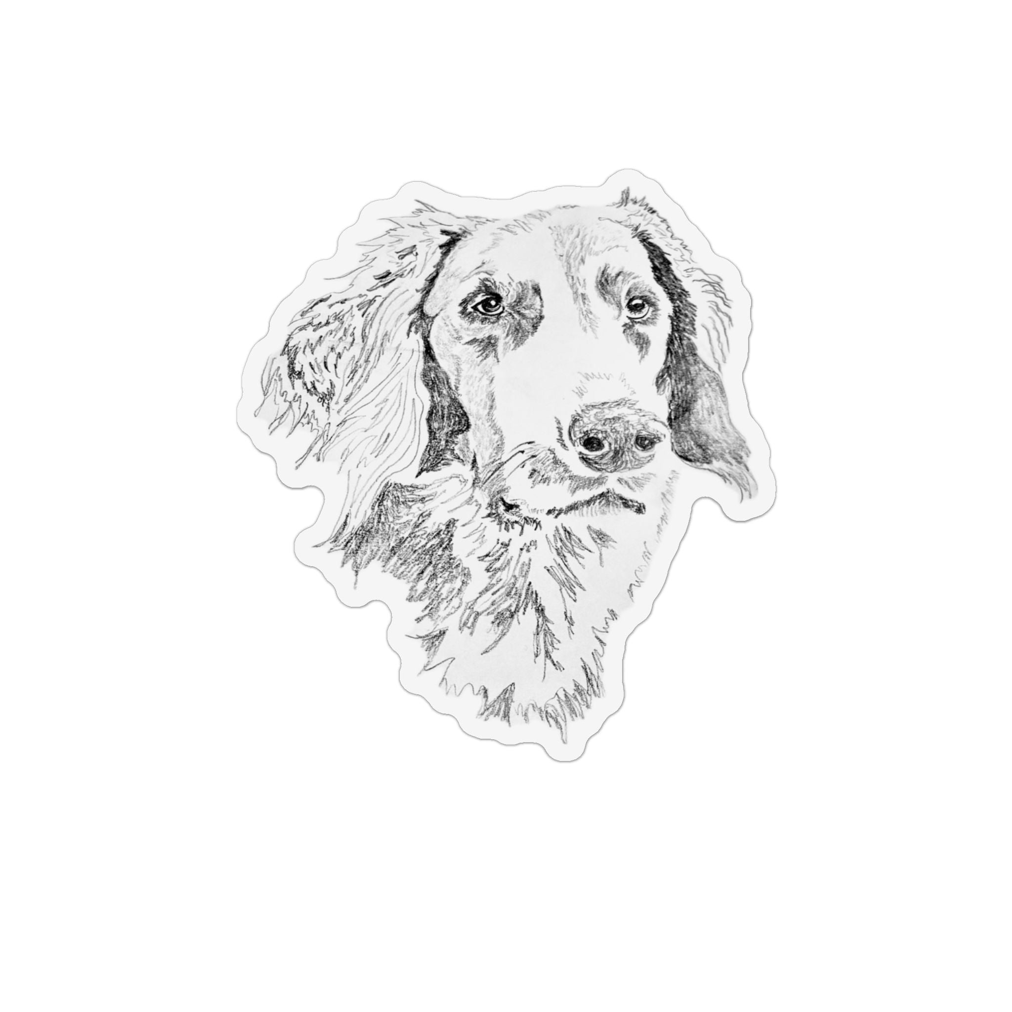 Long Haired Weimaraner Magnet
