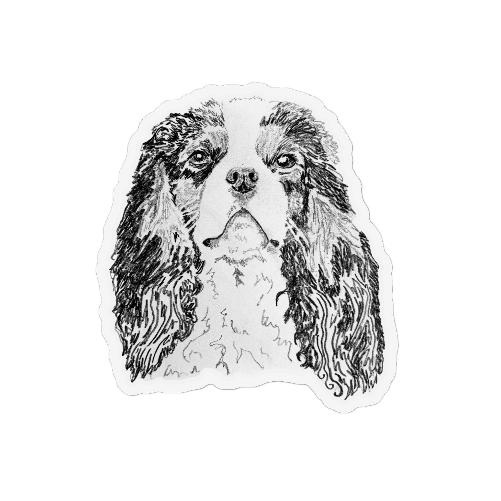 Cavalier Spaniel Magnet