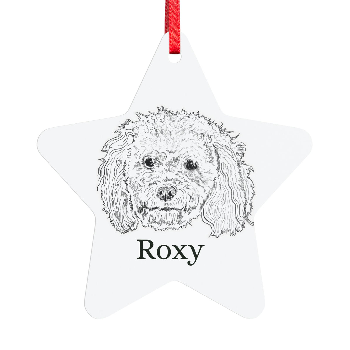 Aluminum Ornaments (Multi-shape)