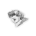 Portuguese Water Dog Magnet