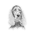 Irish Setter Magnet