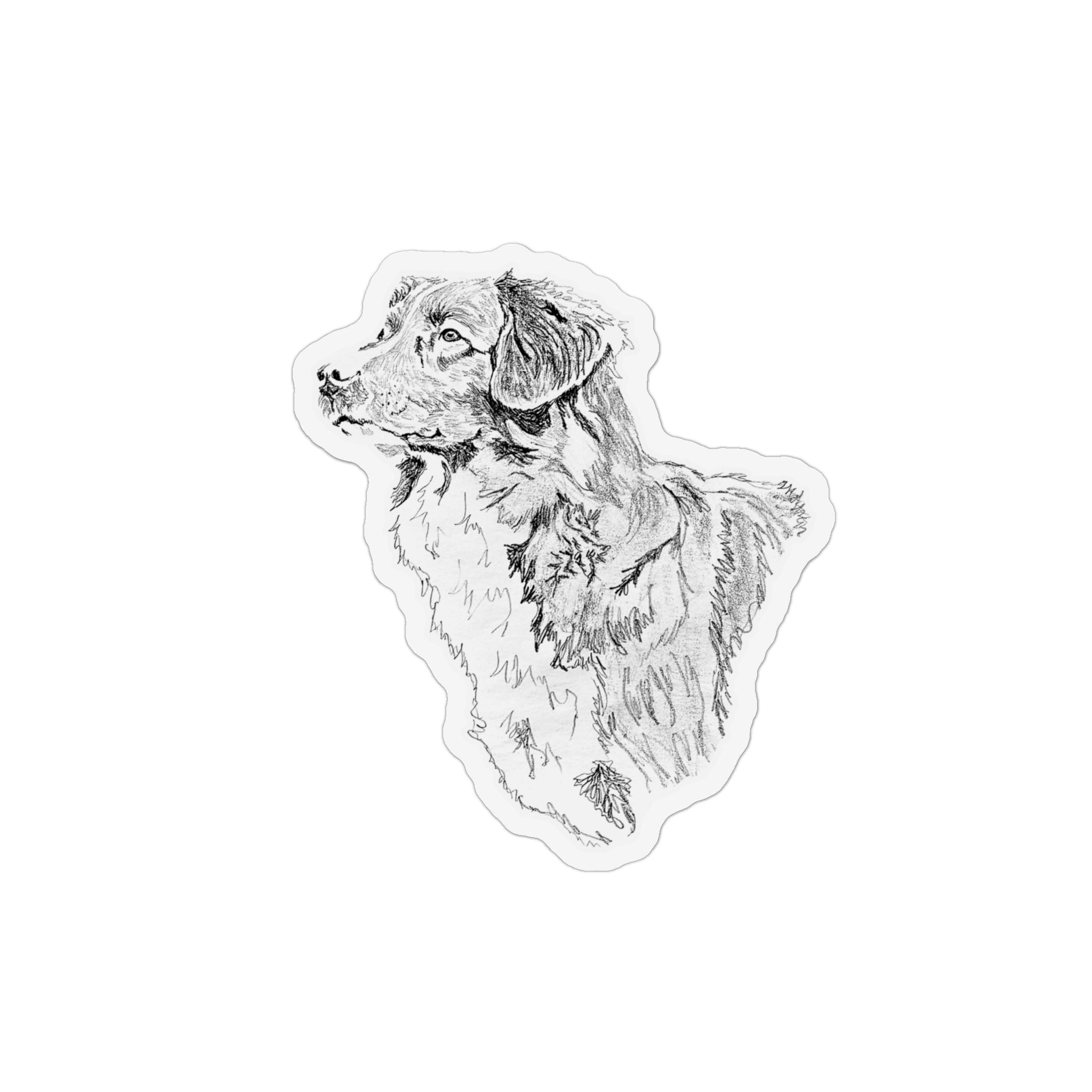 Duck Tolling Retriever profile Magnet