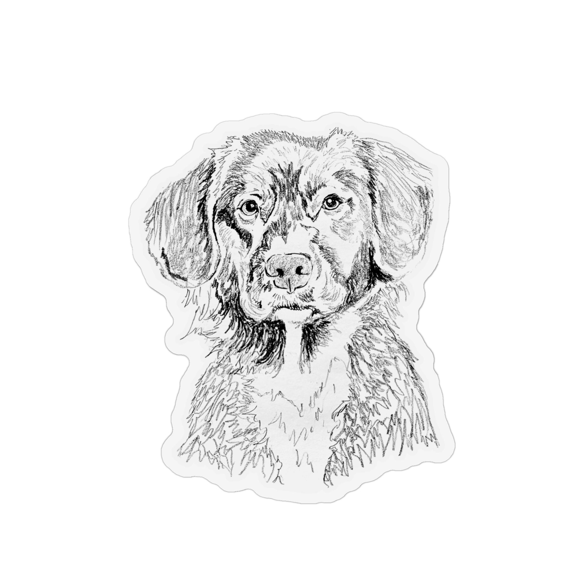 Duck Tolling Retriever Magnet