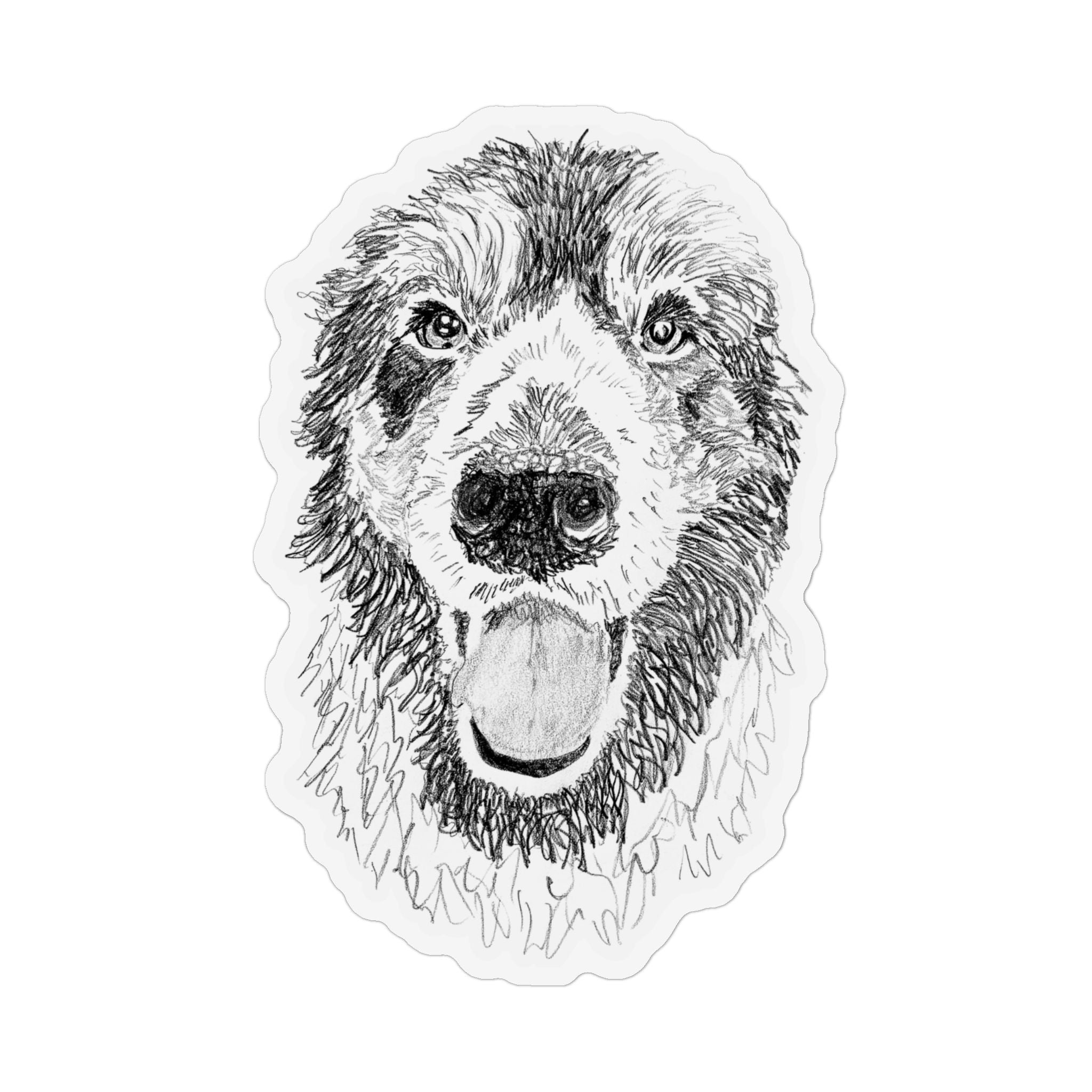 Shadow, Tennessee Mountain Dog Magnet