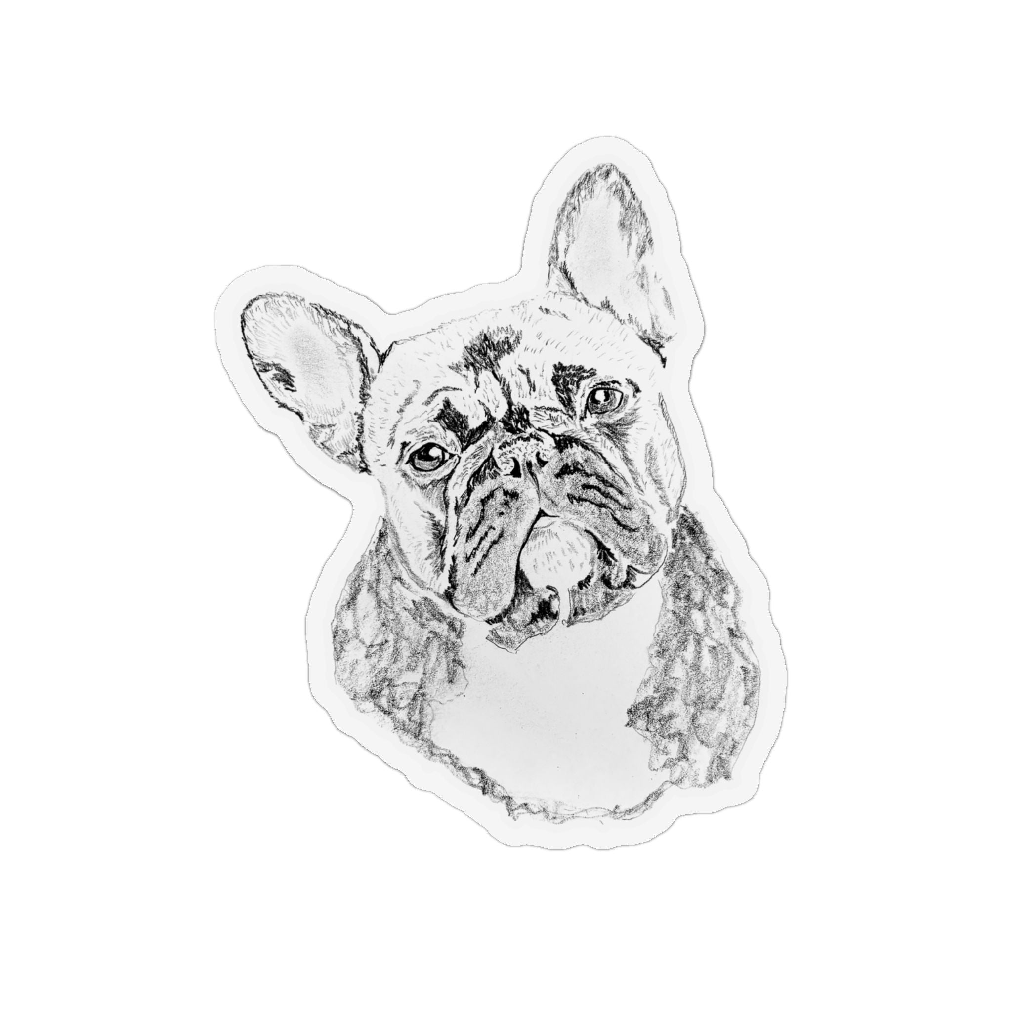 Bulldog Magnet