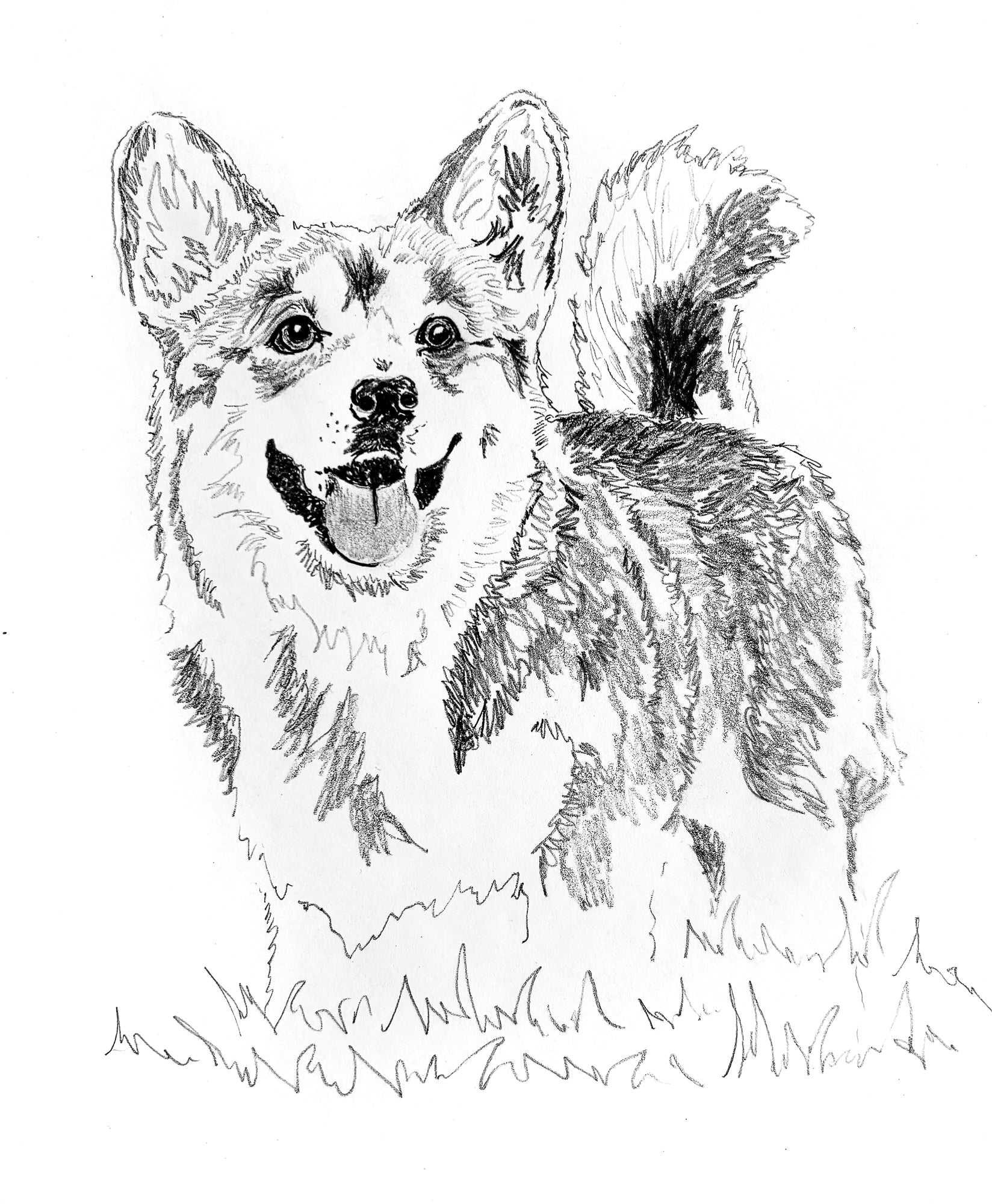 Custom Portrait - Corgi