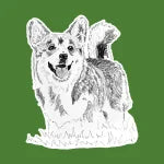 Custom Portrait - Corgi